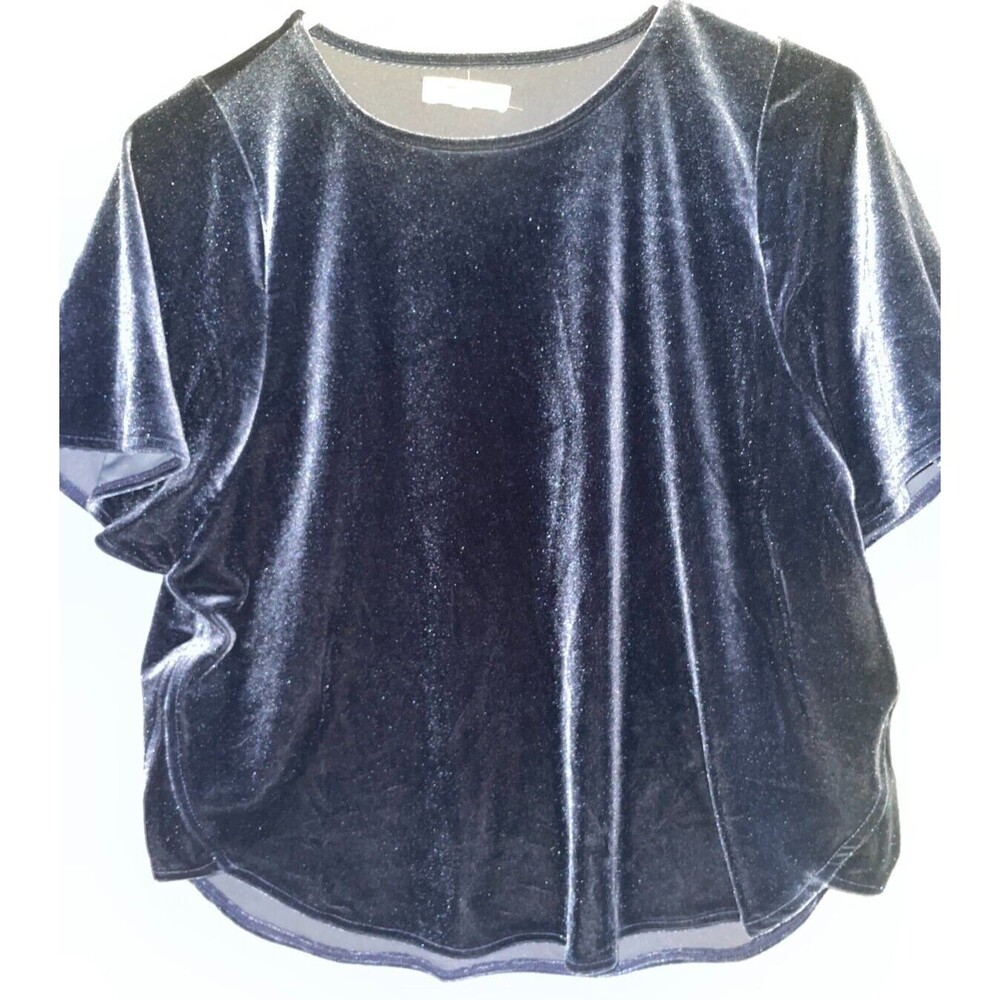 Madewell Butterfly Blue Velvet Top Wide Flutter Sleeve Blouse XS Evening Top
